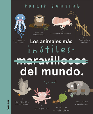 Los Animales Más Inútiles del Mundo - Philip Bunting