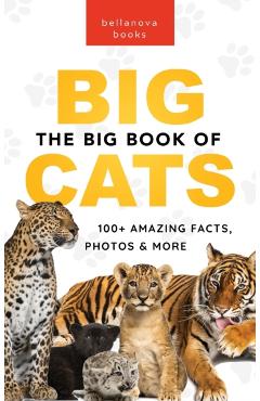 The Big Book of Big Cats: 100+ Amazing Facts About Lions, Tigers, Leopards, Snow Leopards & Jaguars - Jenny Kellett