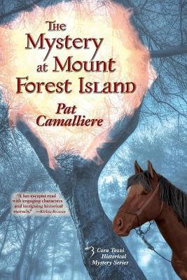 The Mystery at Mount Forest Island - Pat Camalliere