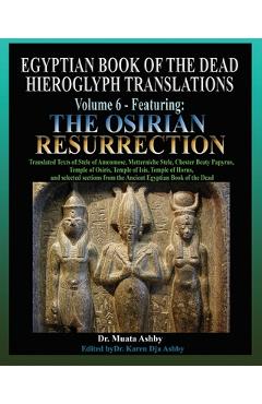Coperta cărții 'Egyptian Book of the Dead Hieroglyph Translations Volume 6 Featuring The Osirian Resurrection - Muata Ashby'