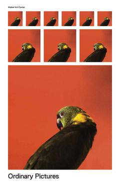 Poza produsului Ordinary Pictures - Eric Crosby