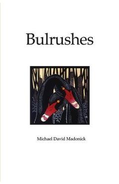 Coperta cărții 'Bulrushes - Michale Madonick'