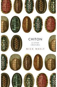 Poza produsului Chiton & Other Creatures - Nicholas Neely