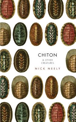 Chiton & Other Creatures - Nicholas Neely