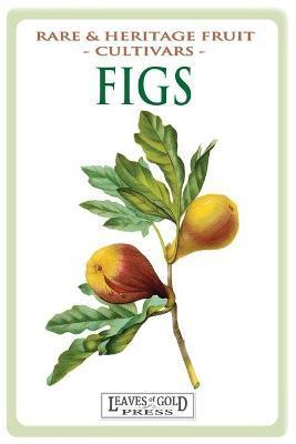 Figs: Rare and Heritage Fruit Cultivars #13 - C. Thornton