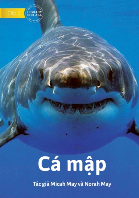 Sharks - Cá mập - Micah May