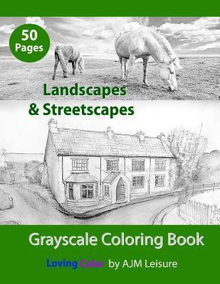 Landscapes & Streetscapes: Adult Grayscale Coloring Book - Ajm Leisure