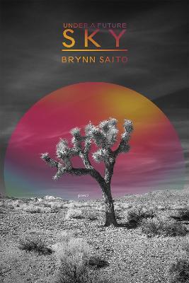 Under a Future Sky - Brynn Saito