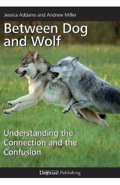 Coperta cărții 'Between Dog and Wolf: Understanding the Connection and the Confusion - Andrew Miller'