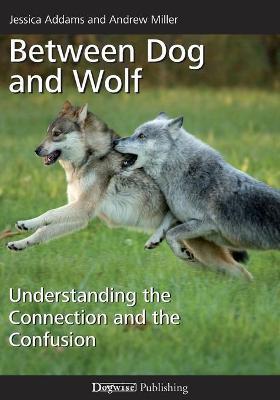 Between Dog and Wolf: Understanding the Connection and the Confusion - Andrew Miller