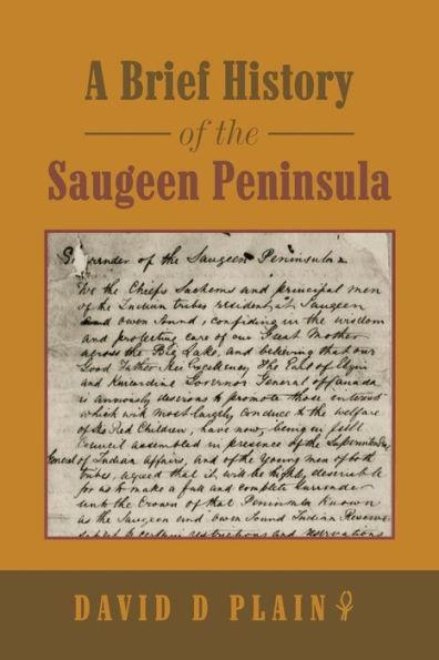 A Brief History of the Saugeen Peninsula - David D. Plain