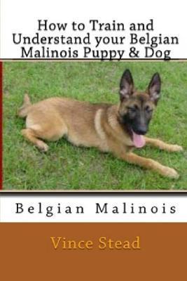 How to Train and Understand Your Belgian Malinois Puppy & Dog - Vince Stead