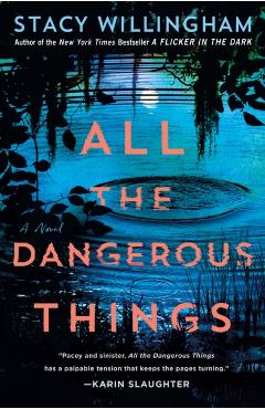 All the Dangerous Things - Stacy Willingham
