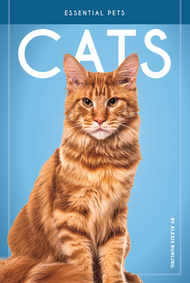 Cats - Alexis Burling