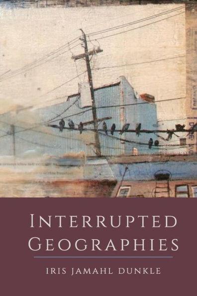 Interrupted Geographies - Iris Jamahl Dunkle