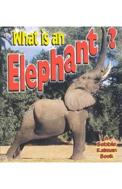 Coperta cărții 'What is an Elephant? - John Crossingham'