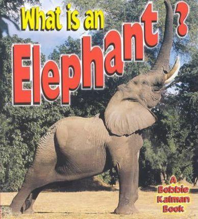 Coperta cărții 'What is an Elephant? - John Crossingham'