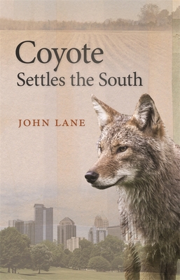 Coyote Settles the South - John Lane