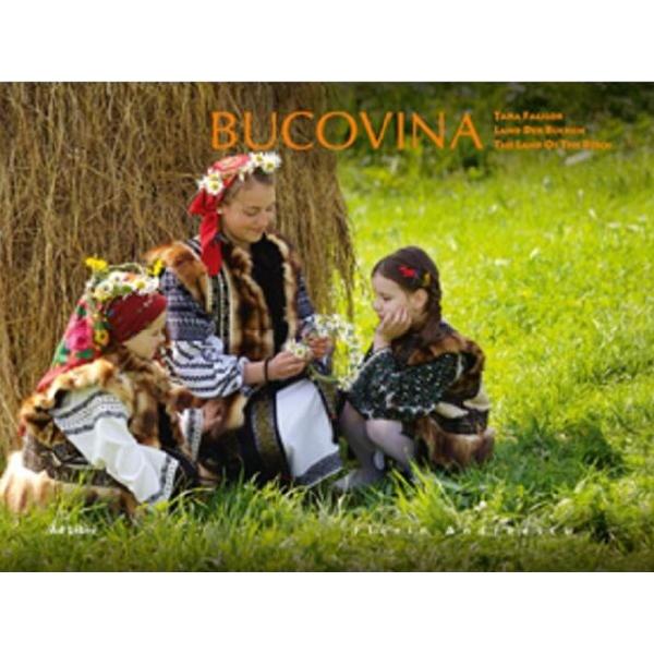 Bucovina - Tara Fagilor - Florin Andreescu