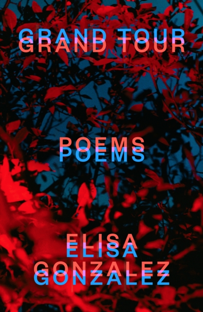 Grand Tour: Poems - Elisa Gonzalez