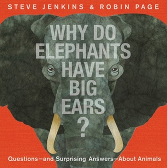 Why Do Elephants Have Big Ears?: Questions -- And Surprising Answers -- About Animals - Steve Jenkins