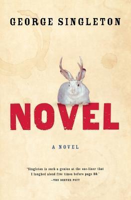 Novel - George Singleton