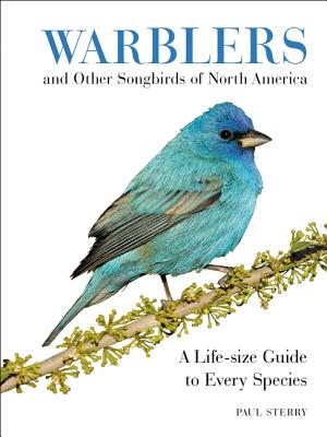 Warblers and Other Songbirds of North America: A Life-Size Guide to Every Species - Paul Sterry