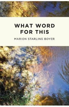 Coperta cărții 'What Word for This - Marion Boyer'
