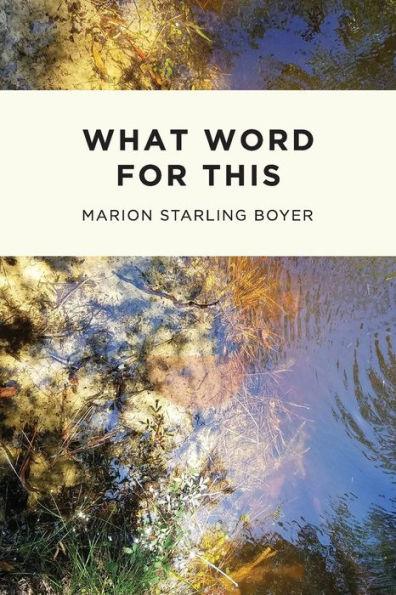Coperta cărții 'What Word for This - Marion Boyer'