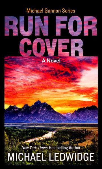 Run for Cover - Michael Ledwidge