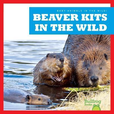 Beaver Kits in the Wild - Katie Chanez