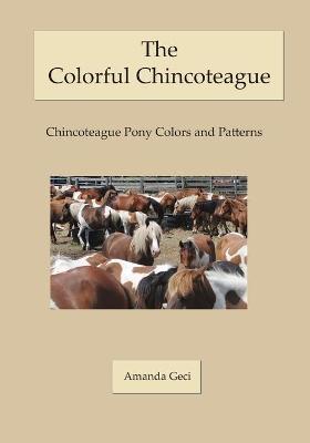 The Colorful Chincoteague: Chincoteague Pony Colors and Patterns - Amanda Geci