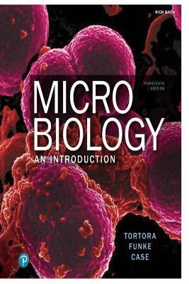 Microbiology - Rich Bach
