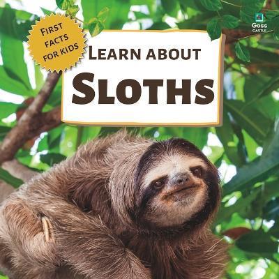 Learn About Sloths: First Facts for Kids - Goss Castle