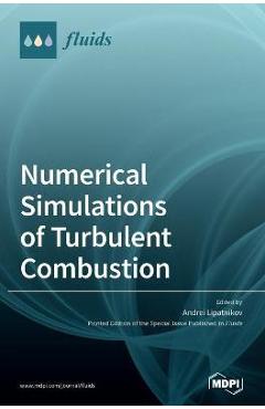 Coperta cărții 'Numerical Simulations of Turbulent Combustion - Andrei Lipatnikov'