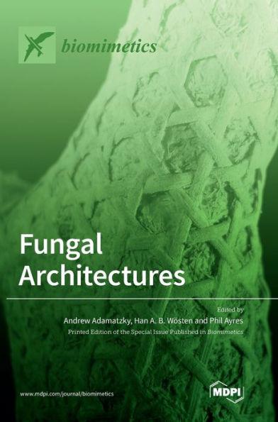 Fungal Architectures - Andrew Adamatzky