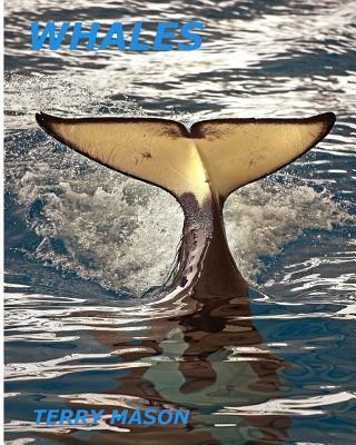 Whales: Whale Facts for Kids, Whales Gentle Giants of the Sea - Terry Mason