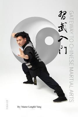 Gateway to Chinese Martial Arts: 习武入门 - Longfei Yang