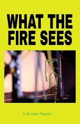 What the Fire Sees: A Divided Reader - Divided Publishing