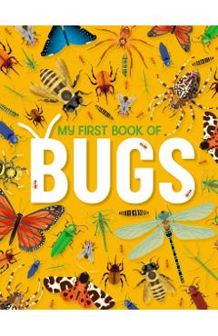 My First Book of Bugs: An Awesome First Look at Insects and Spiders - Emily Kington