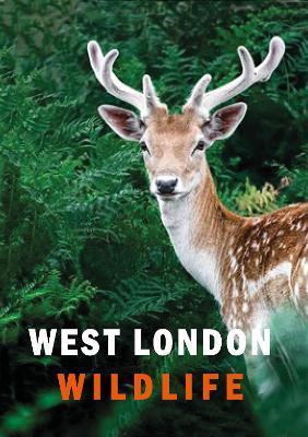 West London Wildlife - Ian Alexander