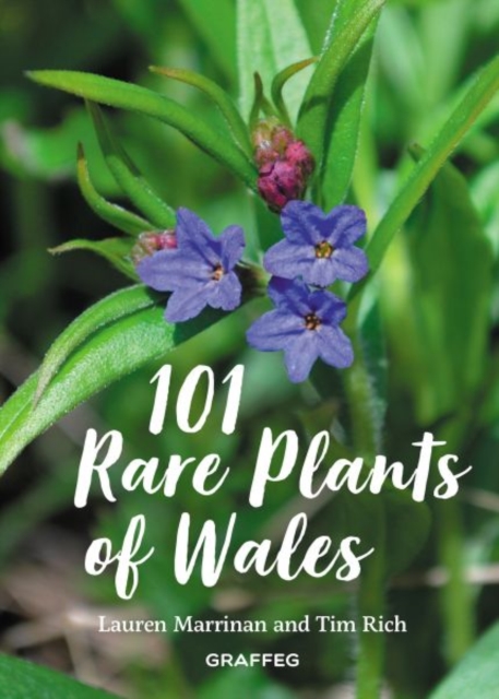 101 Rare Plants of Wales - Lauren Marrinan