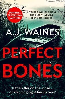 Perfect Bones: A Tense Psychological Thriller That Will Keep You Hooked - Aj Waines