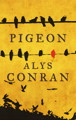 Pigeon - Alys Conran