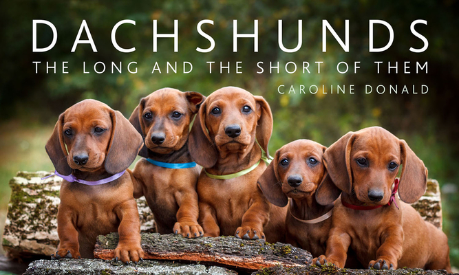 Dachshunds: The Long and the Short of Them - Caroline Donald