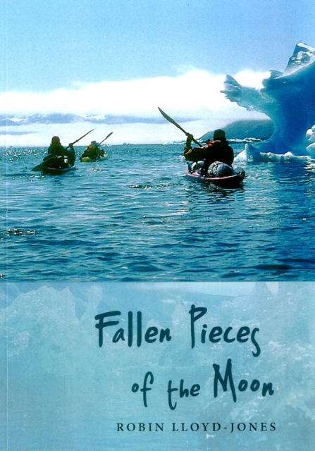 Fallen Pieces of the Moon - Robin Lloyd-jones