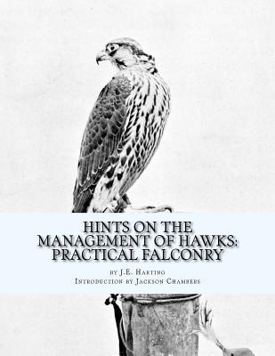 Hints on the Management of Hawks: Practical Falconry - Jackson Chambers