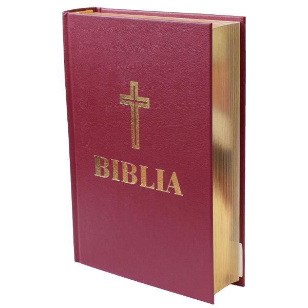 Biblia mica Visinie - Aurie