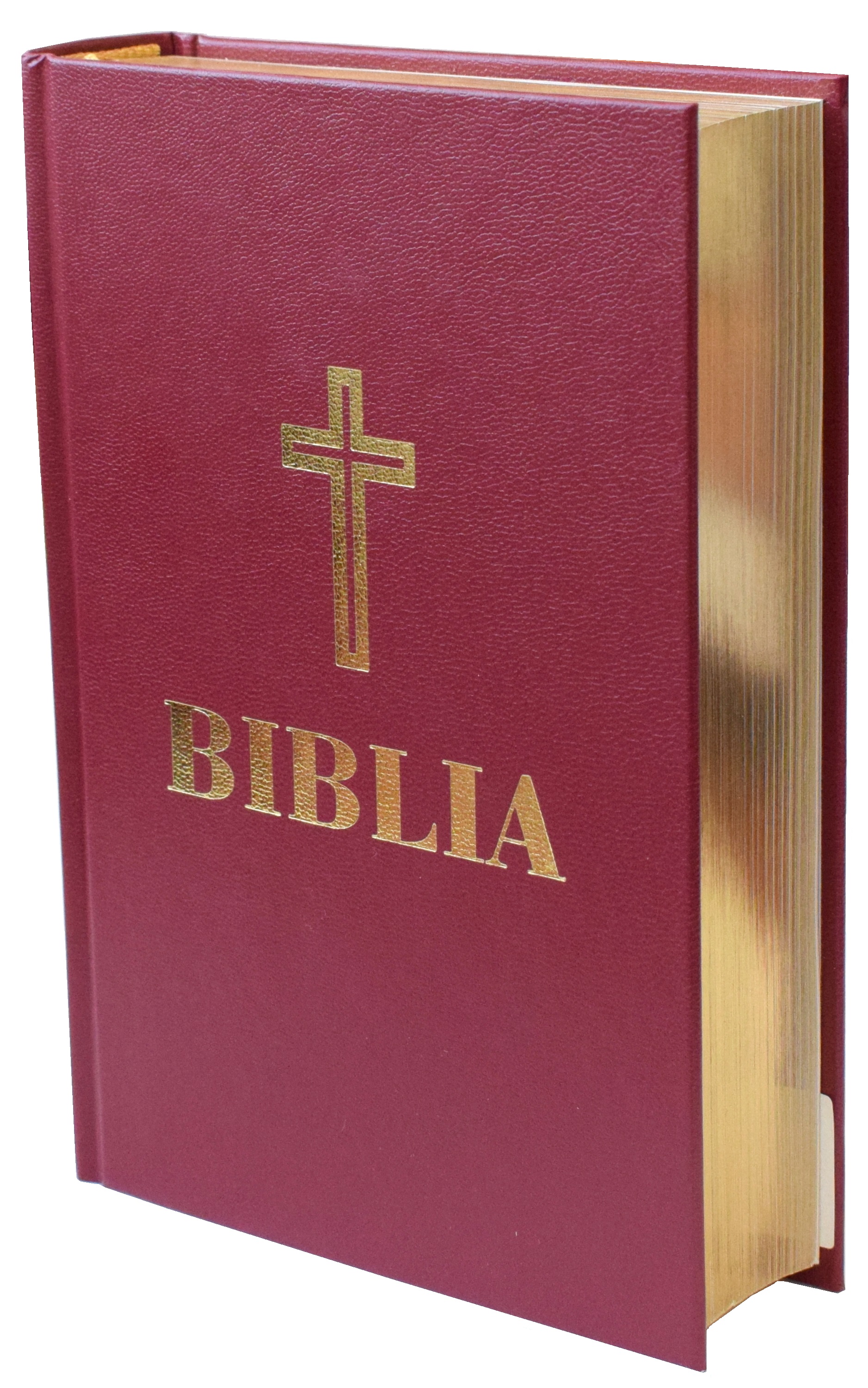 Biblia mica Visinie - Aurie