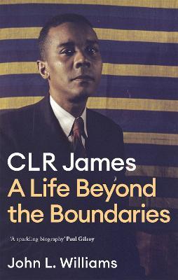 Clr James: A Life Beyond the Boundaries - John L. Williams